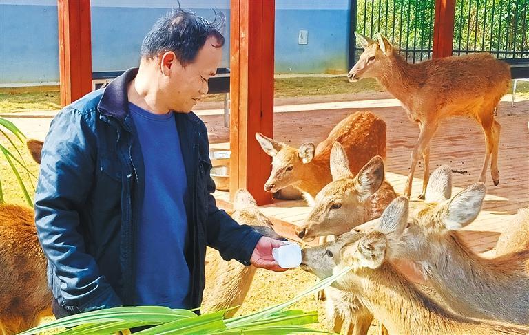 发展产业调研】林下生金不朽情缘平台【高质量(图3)